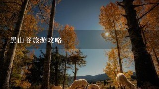 黑山谷旅游攻略