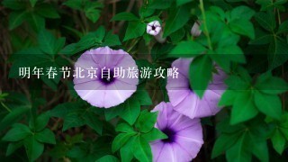 明年春节北京自助旅游攻略