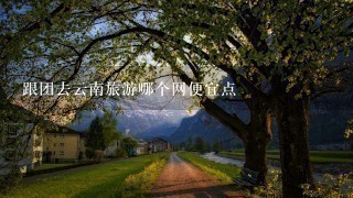 跟团去云南旅游哪个网便宜点