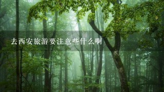 去西安旅游要注意些什么啊