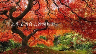 什么季节适合去沙漠旅游？