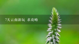 7天云南游玩 求攻略