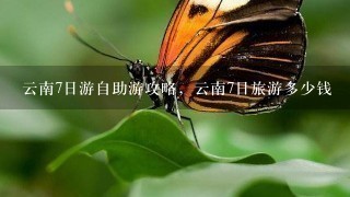 云南7日游自助游攻略，云南7日旅游多少钱