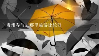 贵州春节去哪里旅游比较好