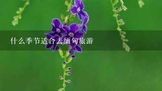 什么季节适合去缅甸旅游