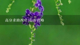 高分求助西安3日游攻略