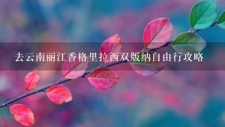 去云南丽江香格里拉西双版纳自由行攻略