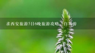 求西安旅游5日6晚旅游攻略，自驾游