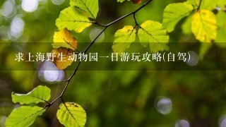 求上海野生动物园一日游玩攻略(自驾)