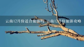 云南12月份适合旅游吗 云南12月份旅游攻略