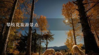 攀枝花旅游景点