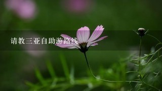 请教三亚自助游路线