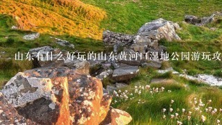 山东有什么好玩的山东黄河口湿地公园游玩攻略旅游