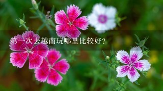 第一次去越南玩哪里比较好？