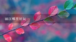 丽江哪里好玩