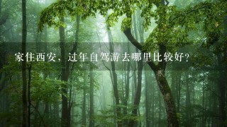 家住西安，过年自驾游去哪里比较好？