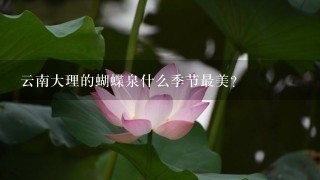 云南大理的蝴蝶泉什么季节最美？