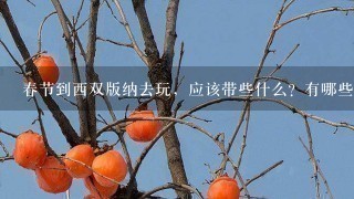 春节到西双版纳去玩，应该带些什么？有哪些要注意的吗？