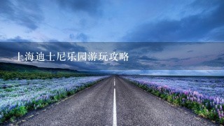 上海迪士尼乐园游玩攻略