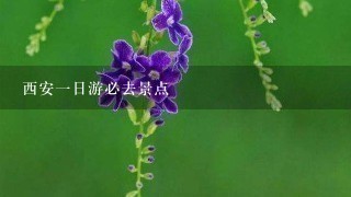 西安一日游必去景点