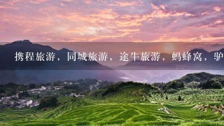 携程旅游，同城旅游，途牛旅游，蚂蜂窝，驴妈妈，哪个app好？手机版的。全面点的。攻略什么的。