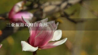 三亚旅游攻略自由行