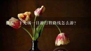 推荐一下无锡一日游行程路线怎么游？