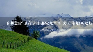 我想知道现在唐山那家旅行社去云南加西双版纳旅游价格最便宜呀？