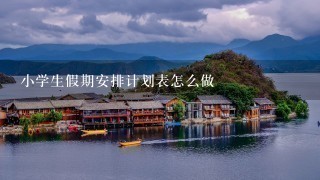 小学生假期安排计划表怎么做