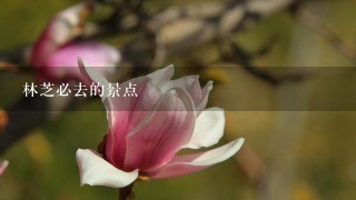 林芝必去的景点