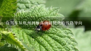 自驾车从杭州到雁荡山最优化的线路导向