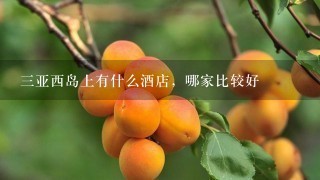 三亚西岛上有什么酒店，哪家比较好