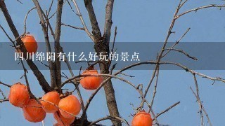 四川绵阳有什么好玩的景点