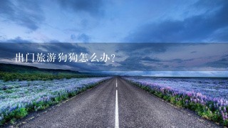 出门旅游狗狗怎么办？