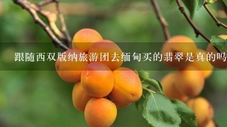 跟随西双版纳旅游团去缅甸买的翡翠是真的吗?