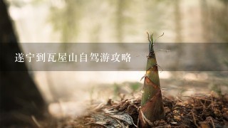 遂宁到瓦屋山自驾游攻略