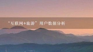 “互联网+旅游”用户数据分析