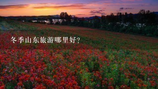 冬季山东旅游哪里好？