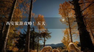 西安旅游攻略！五天