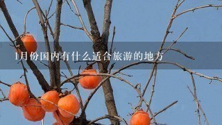 1月份国内有什么适合旅游的地方