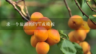 求一个旅游的PPT或模板