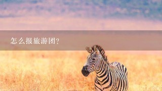 怎么报旅游团？