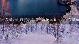 我想去山西忻州宁武，旅游，五一去，我想知道那边有没有好一点的酒店...