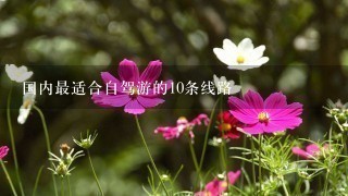 国内最适合自驾游的10条线路