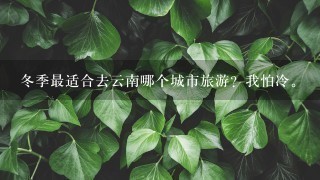 冬季最适合去云南哪个城市旅游？我怕冷。