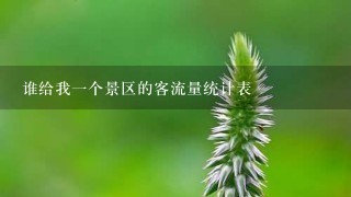 谁给我一个景区的客流量统计表