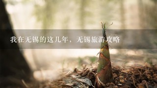 我在无锡的这几年，无锡旅游攻略