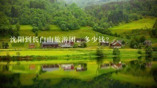 沈阳到长白山旅游团，多少钱?