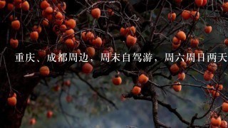 重庆、成都周边，周末自驾游，周六周日两天（11月、12月的样子），请问有不有好的出行路线推荐呢？谢谢