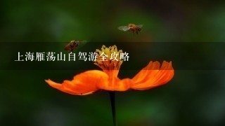 上海雁荡山自驾游全攻略